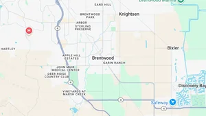 Living in Brentwood: Cost, Vibe, Neighborhoods & More