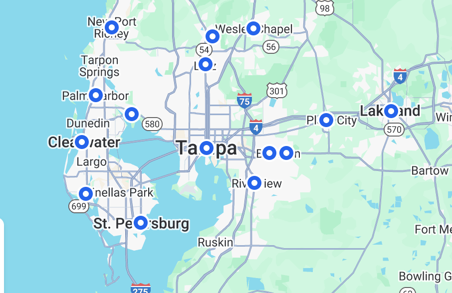 Tampa Metro Area Guide