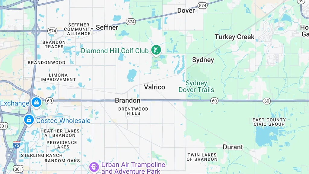 Thinking About Moving to Valrico, FL