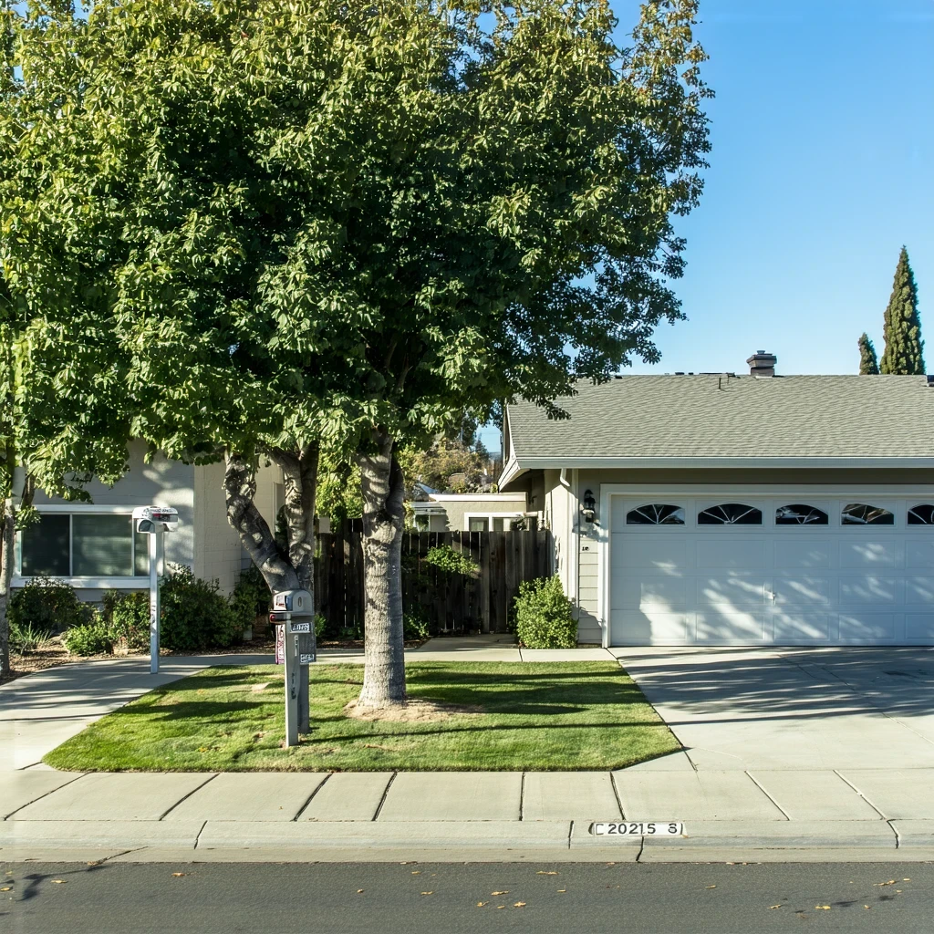 Front yard of a ranch-style home in Santee, California with shade tree and drought-tolerant landscaping